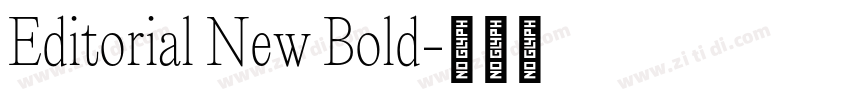 Editorial New Bold字体转换 Editorial New Bold字体转换